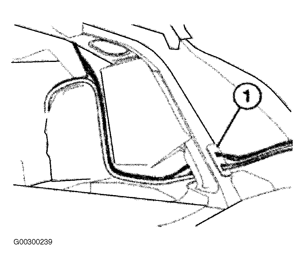 G00300239