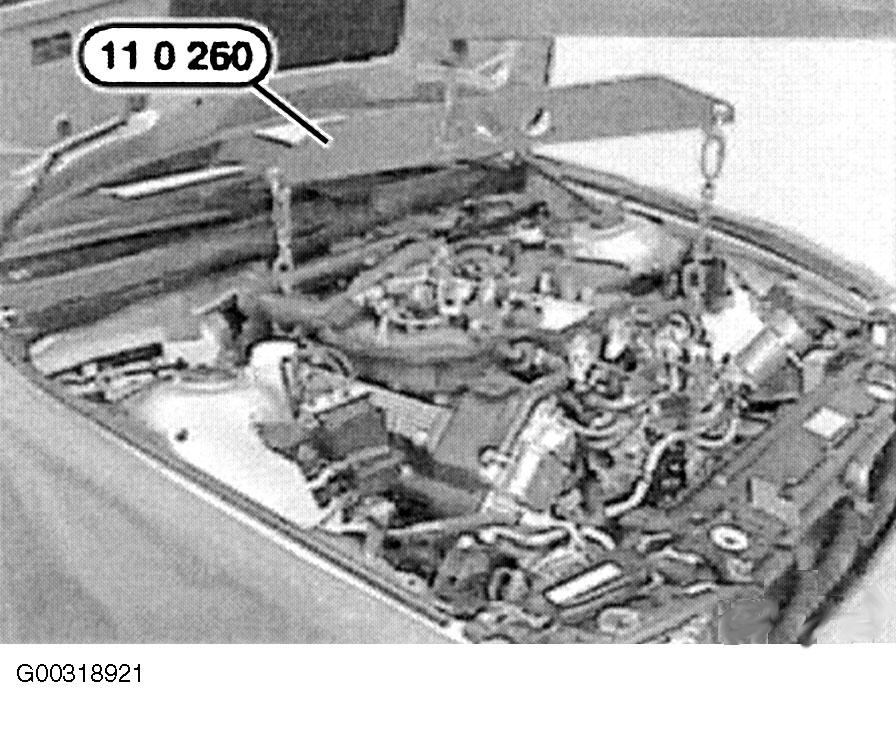 G00318921