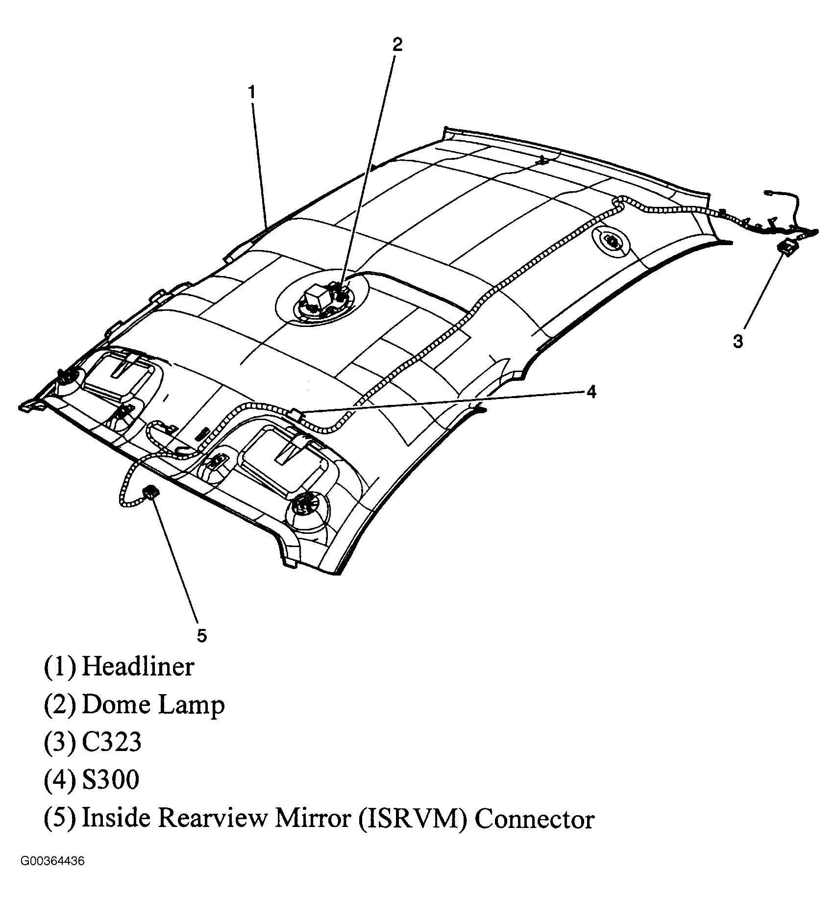 G00364436