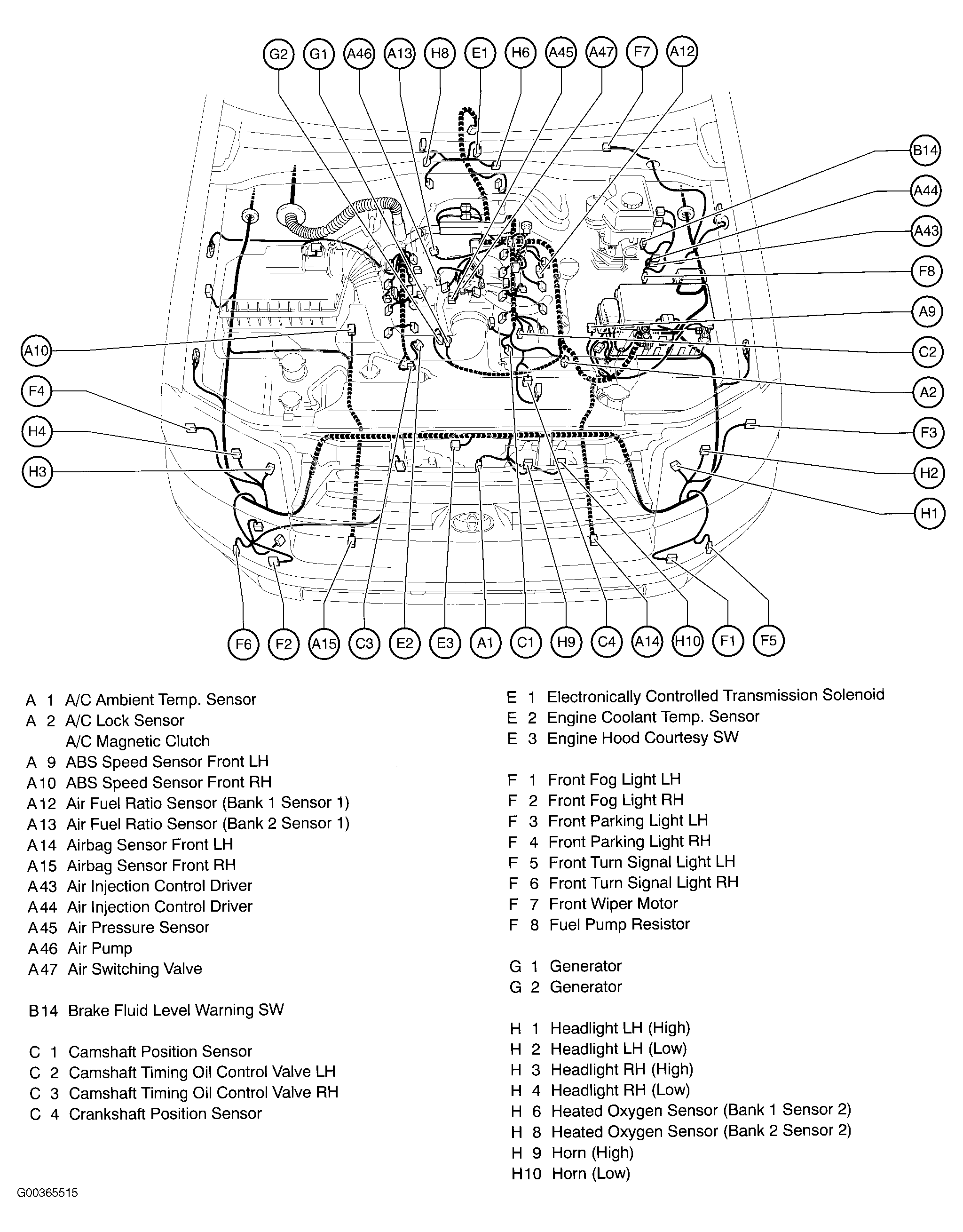 G00365515