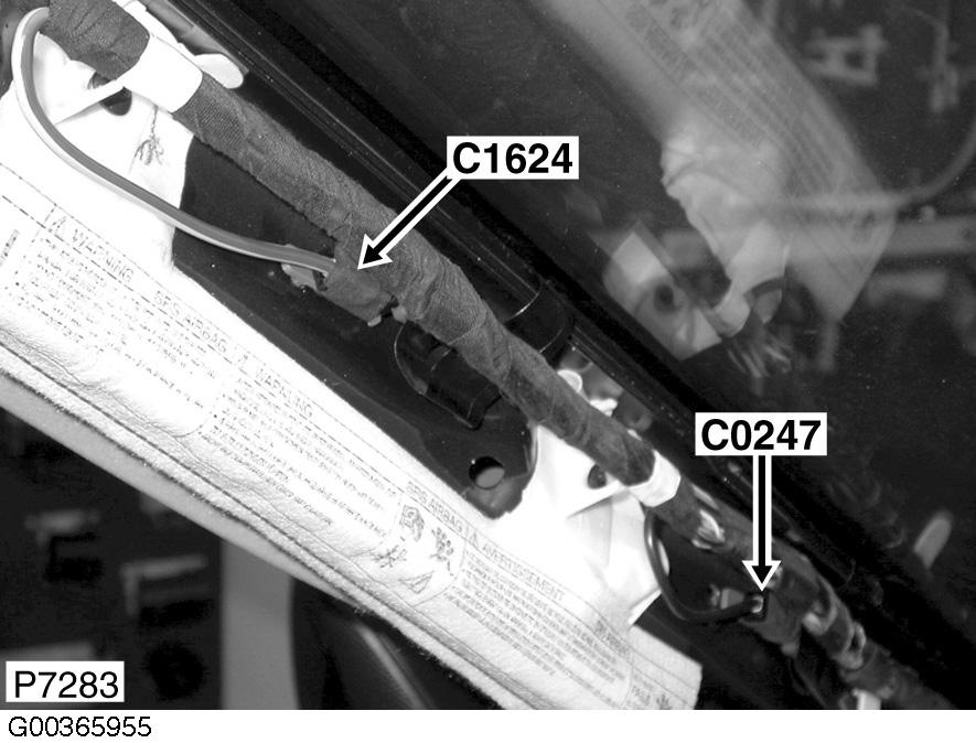 G00365955