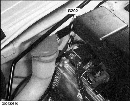 G00430640