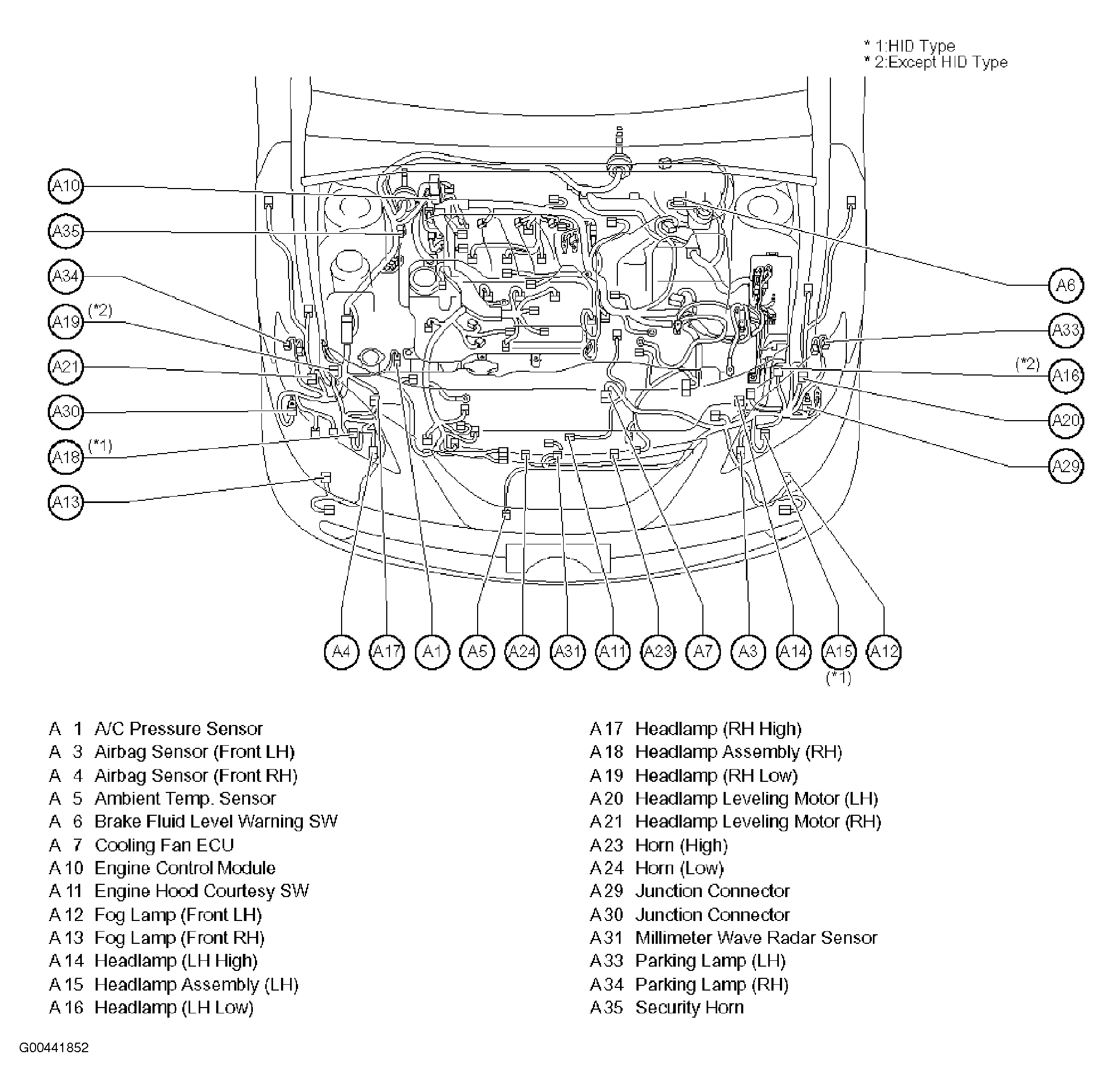 G00441852