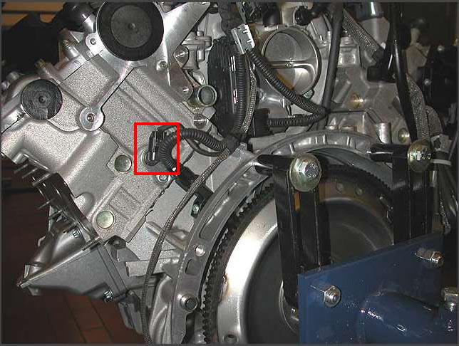 G00445248