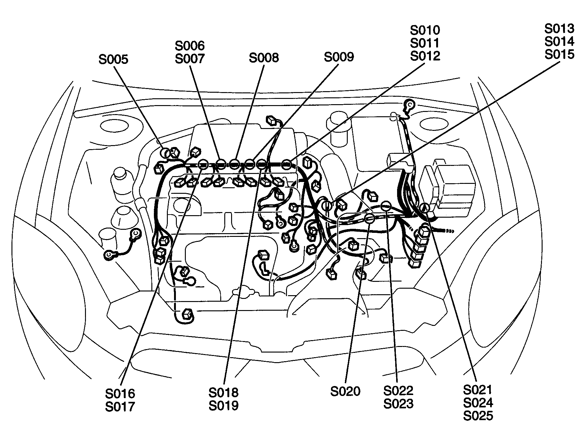 G00445901