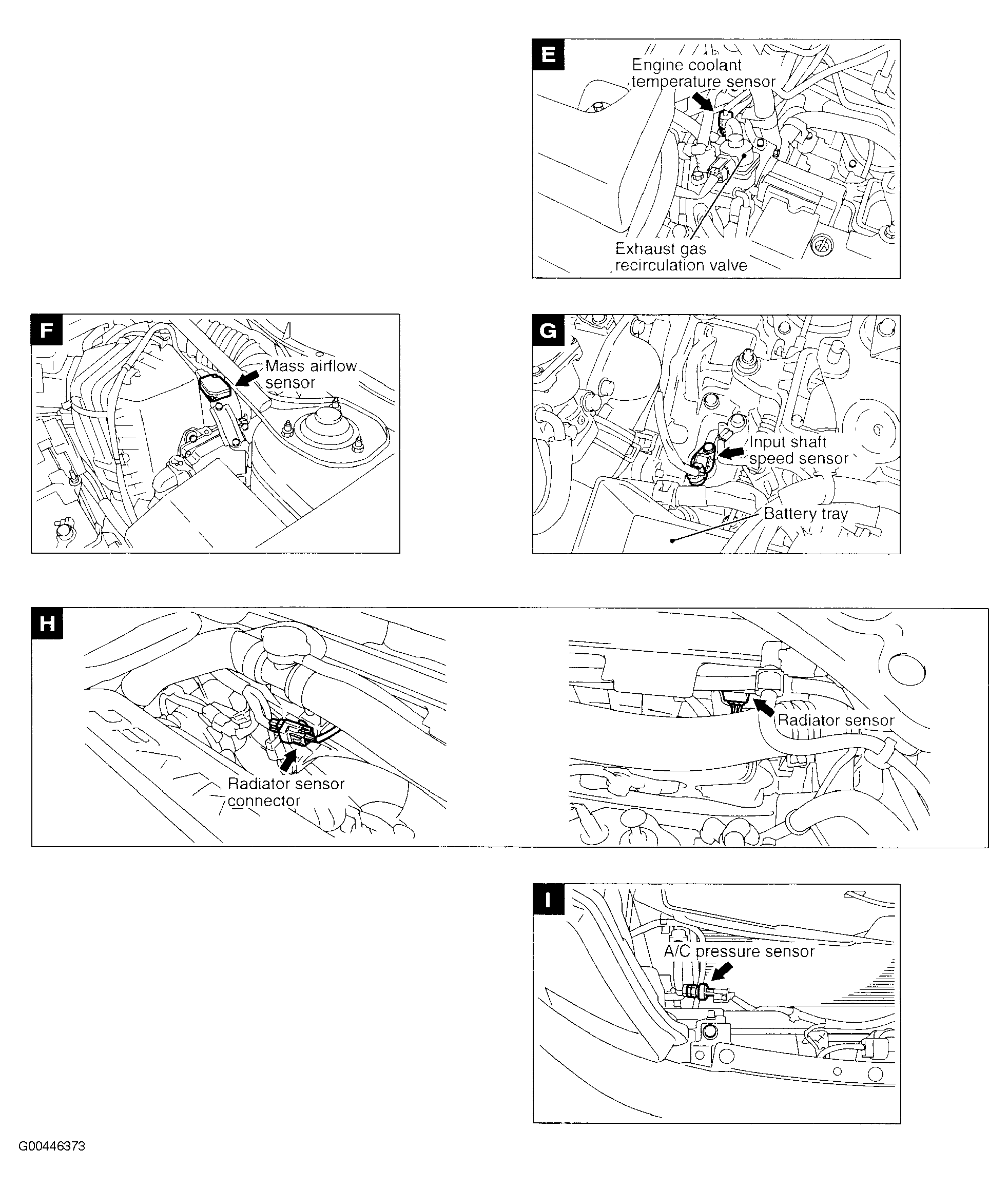 G00446373