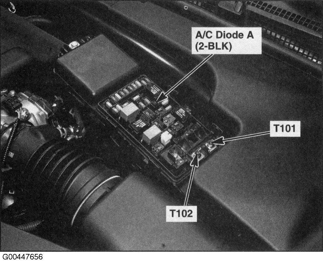 G00447656