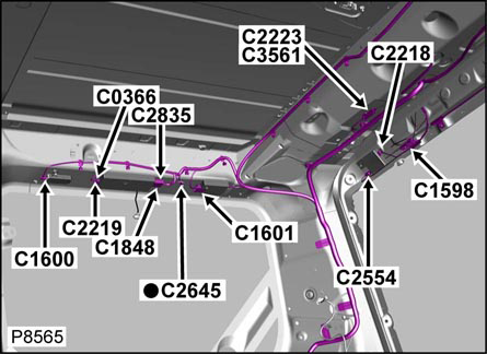 G00479505