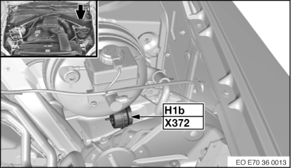 G00495995