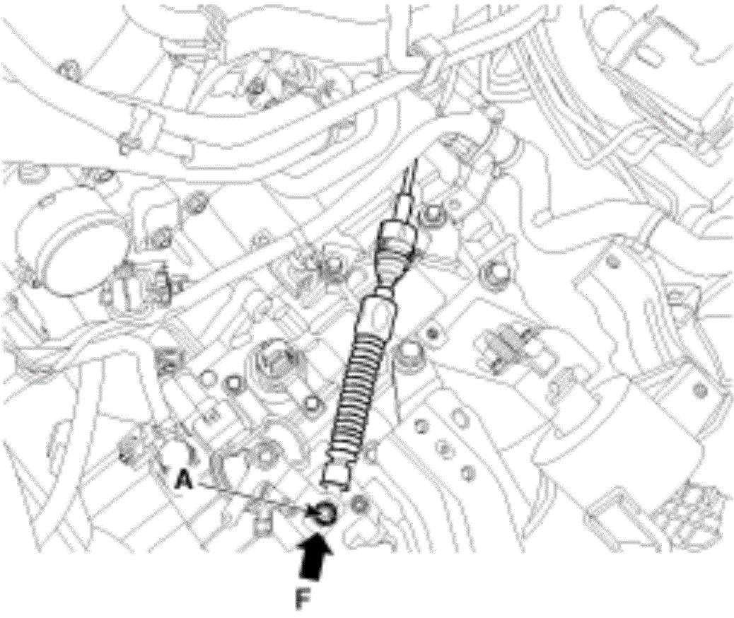 G00559841