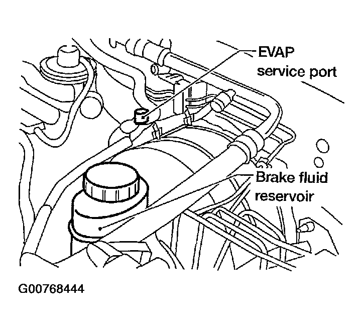 G00768444