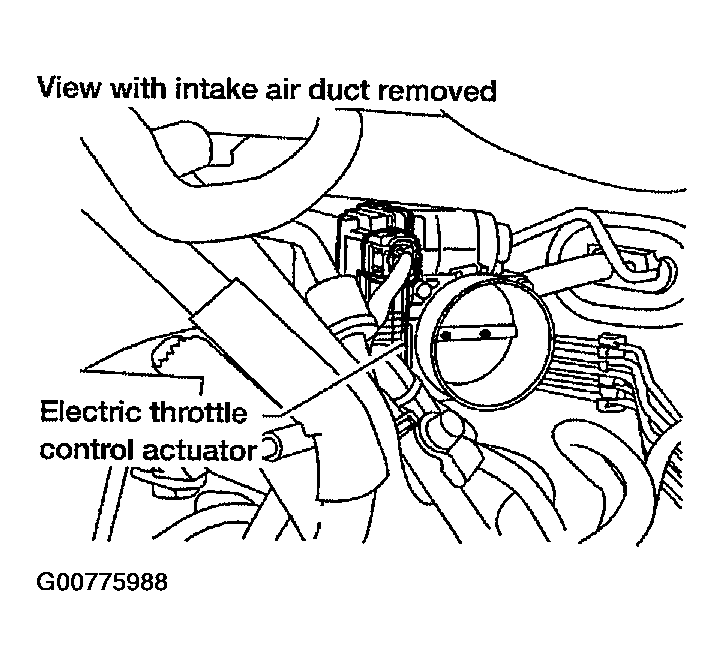 G00775988