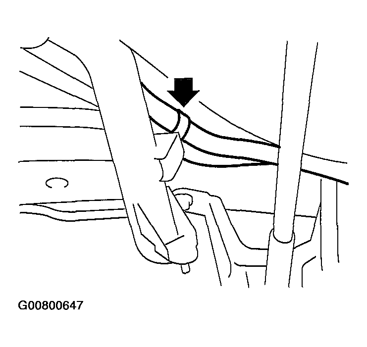 G00800647