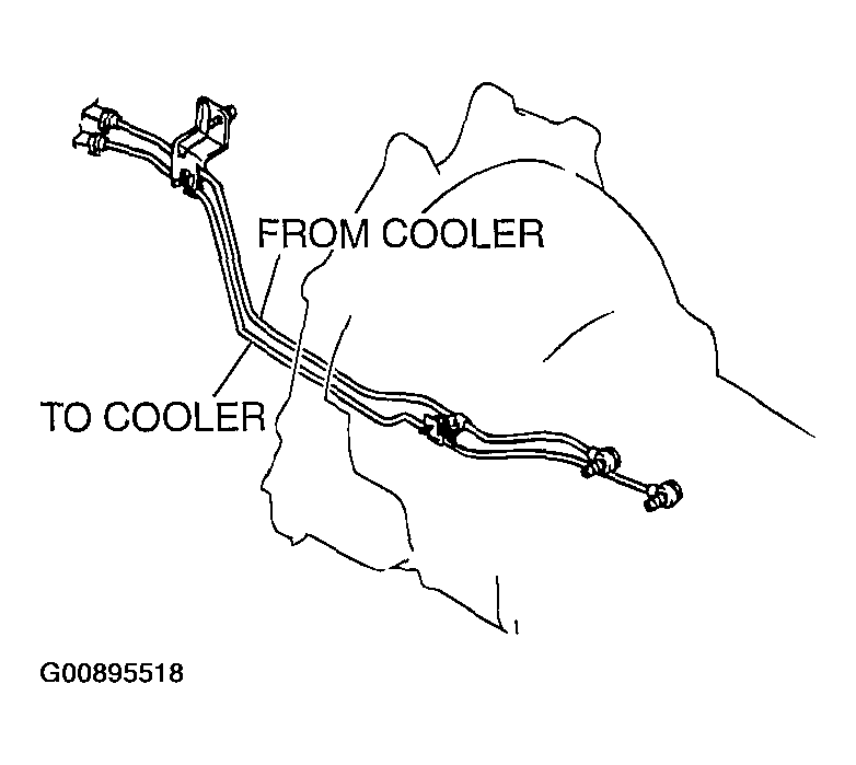 G00895518