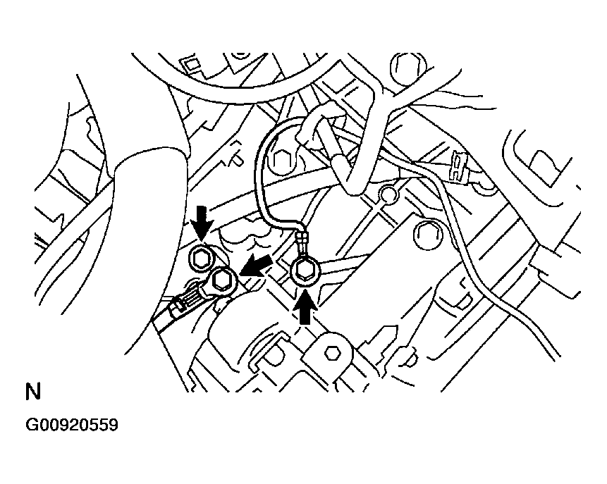 G00920559