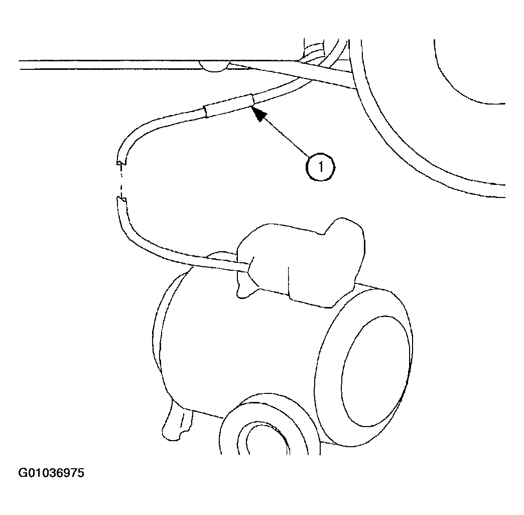 G01036975