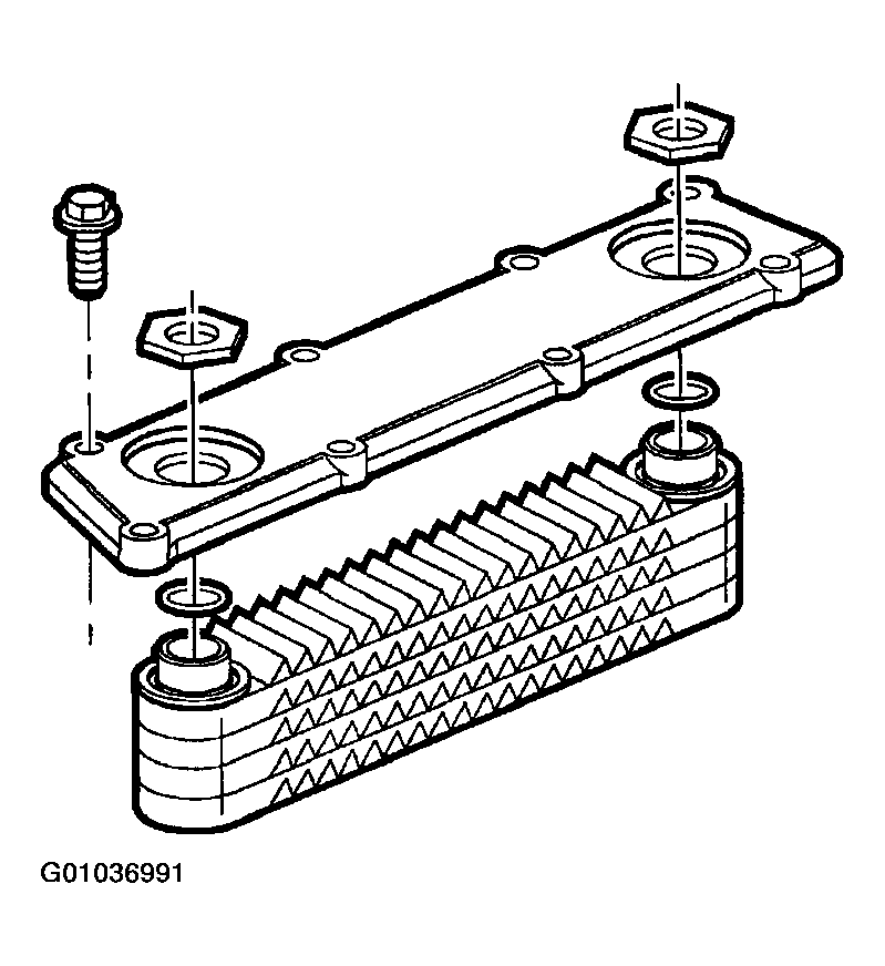 G01036991