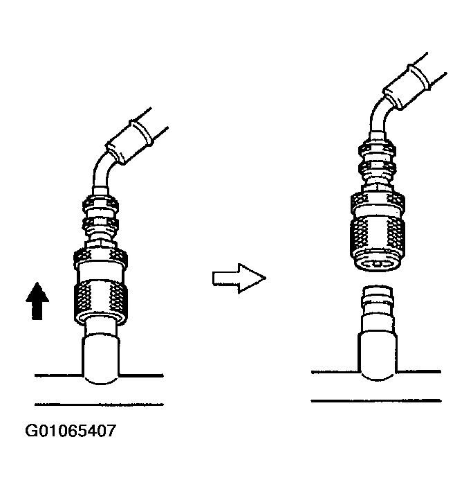 G01065407