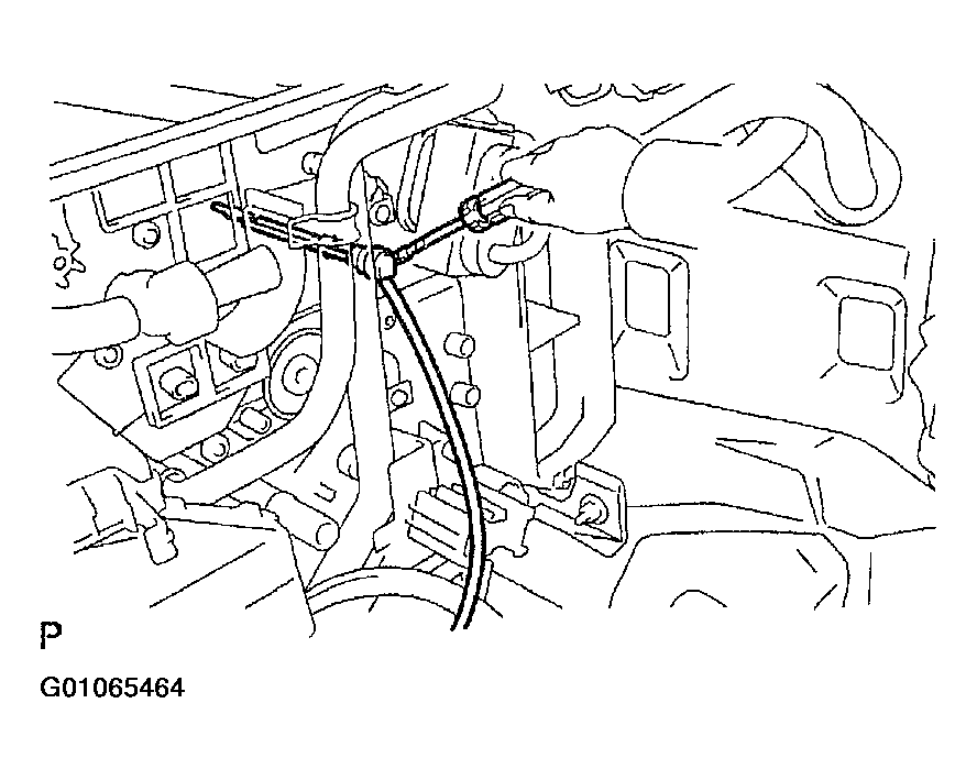 G01065464