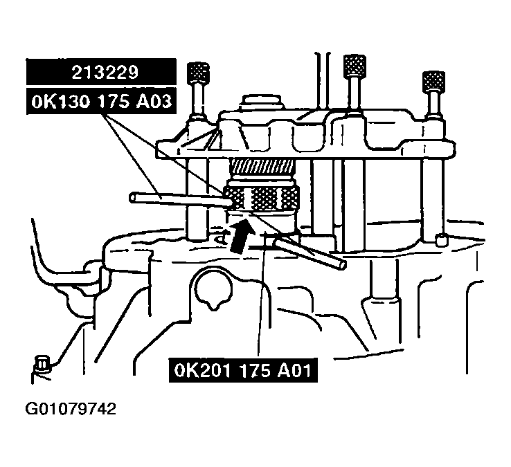 G01079742