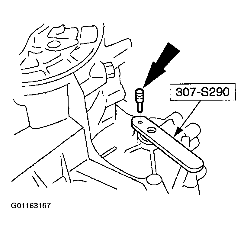 G01163167