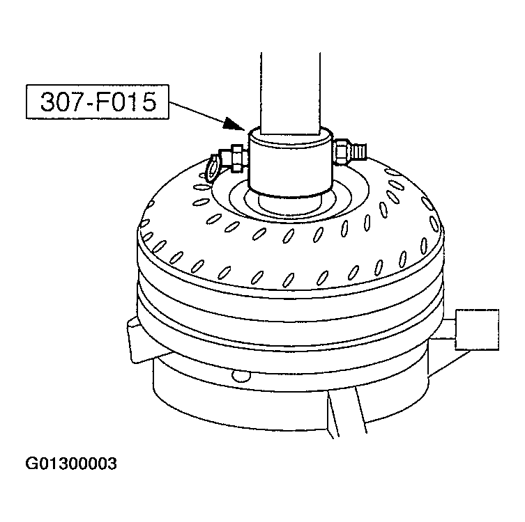 G01300003