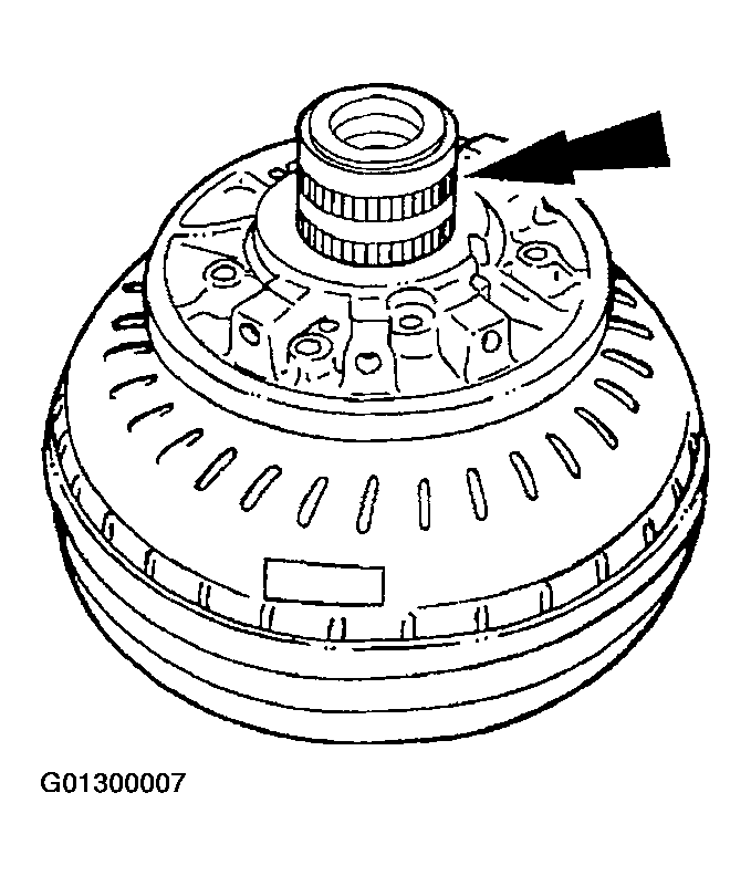 G01300007