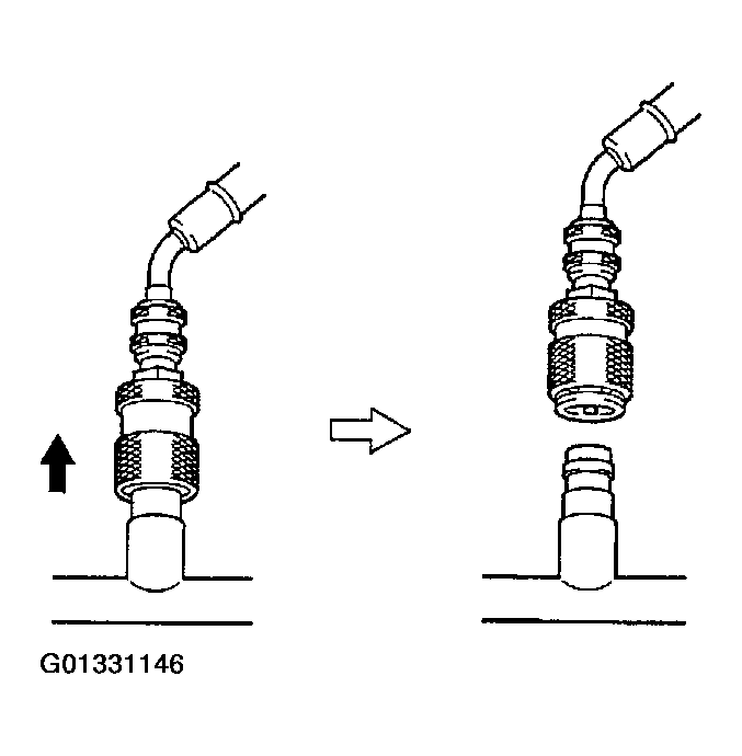 G01331146