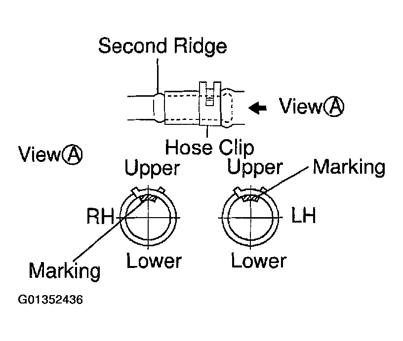 G01352436
