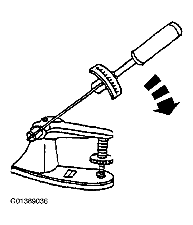 G01389036