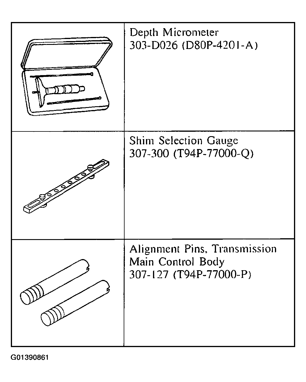 G01390861