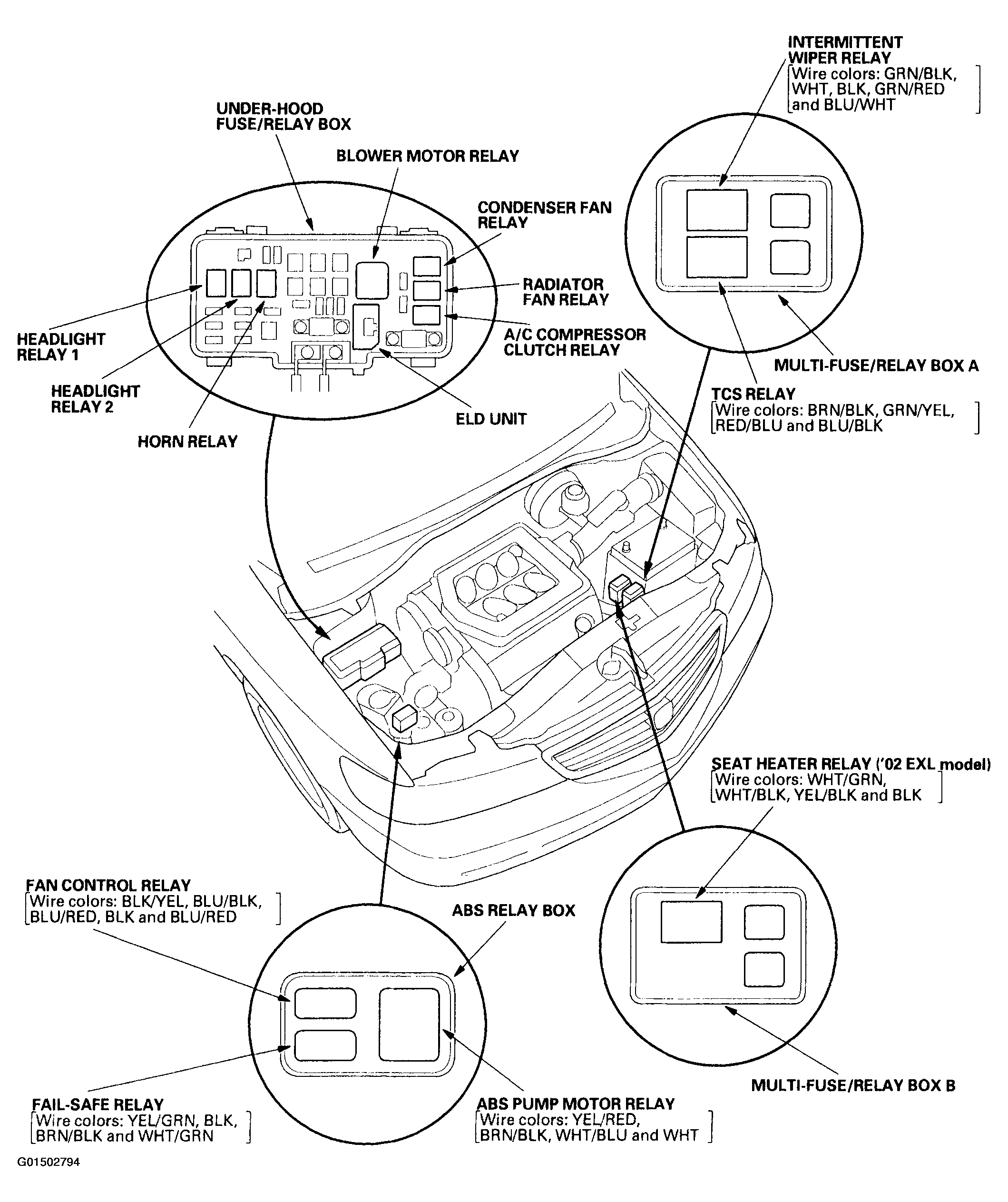 G01502794
