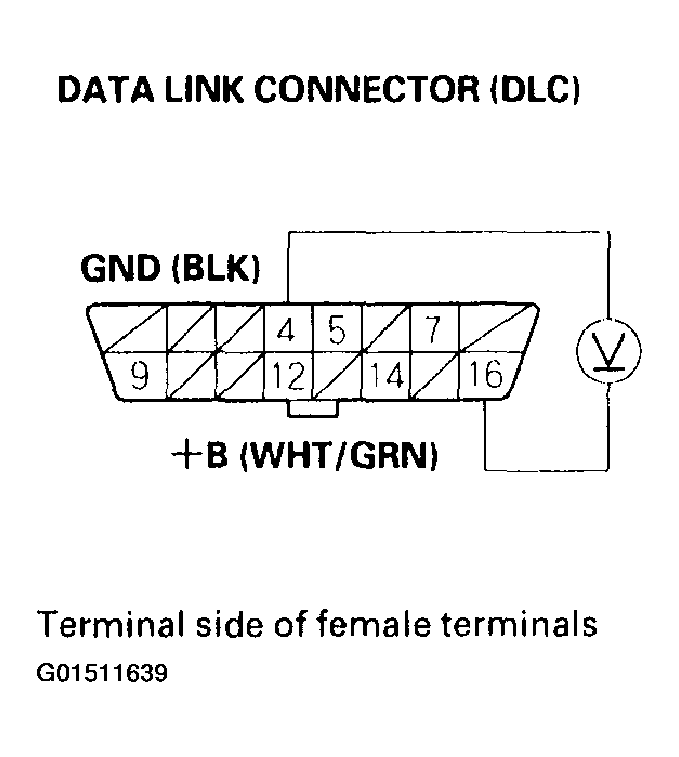 G01511639