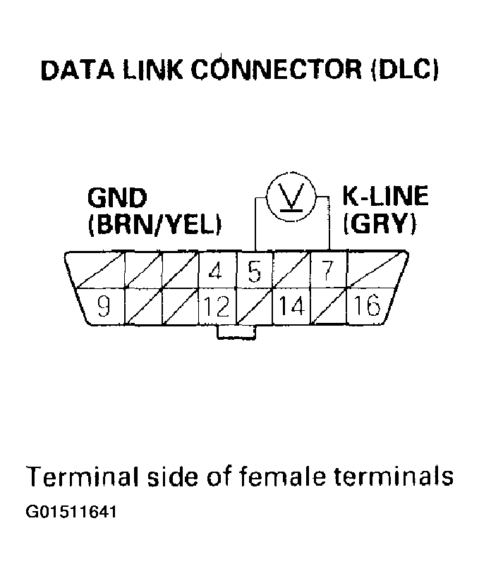 G01511641