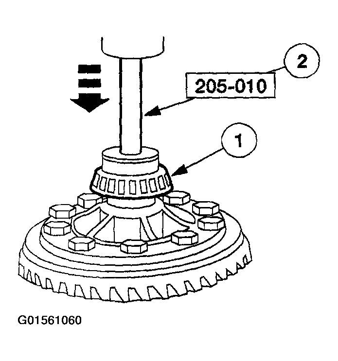 G01561060
