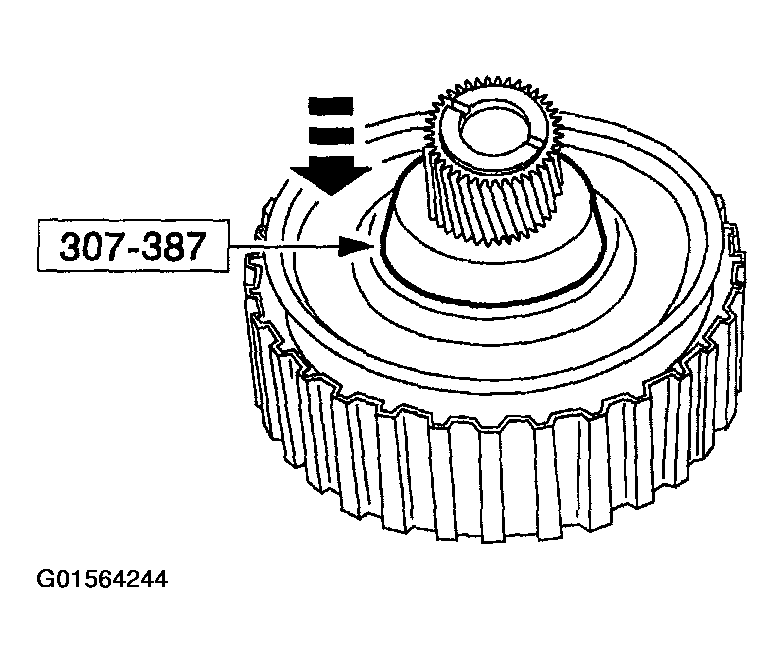 G01564244