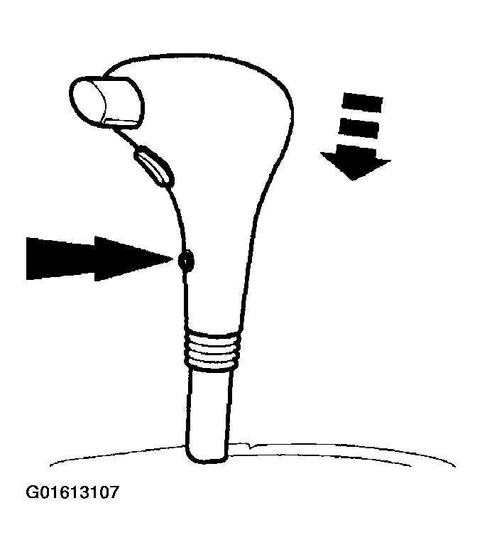 G01613107