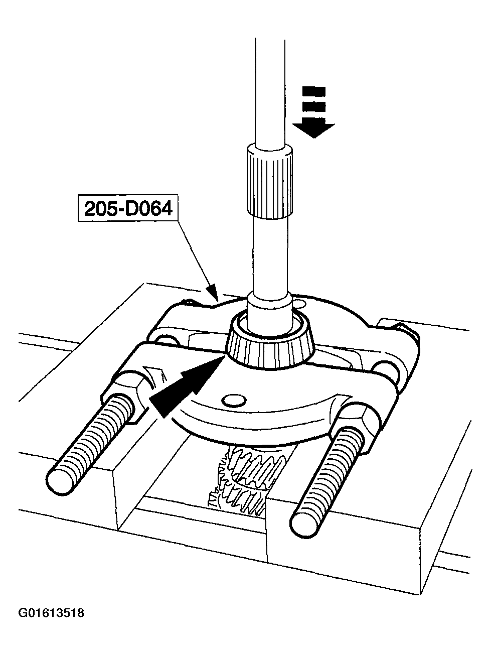 G01613518