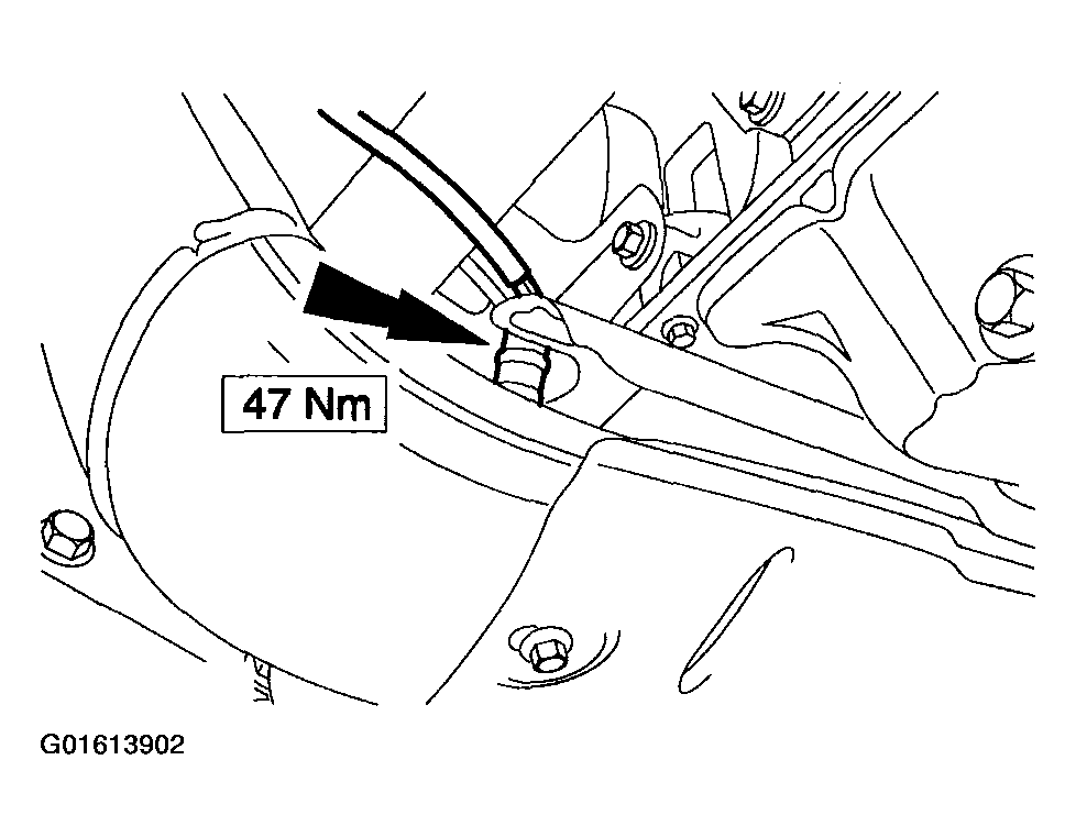 G01613902