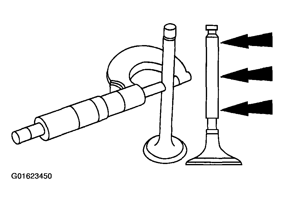 G01623450