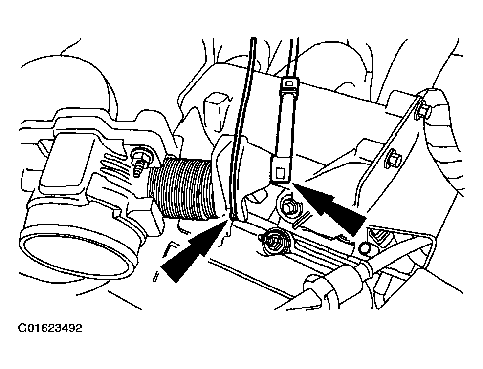 G01623492