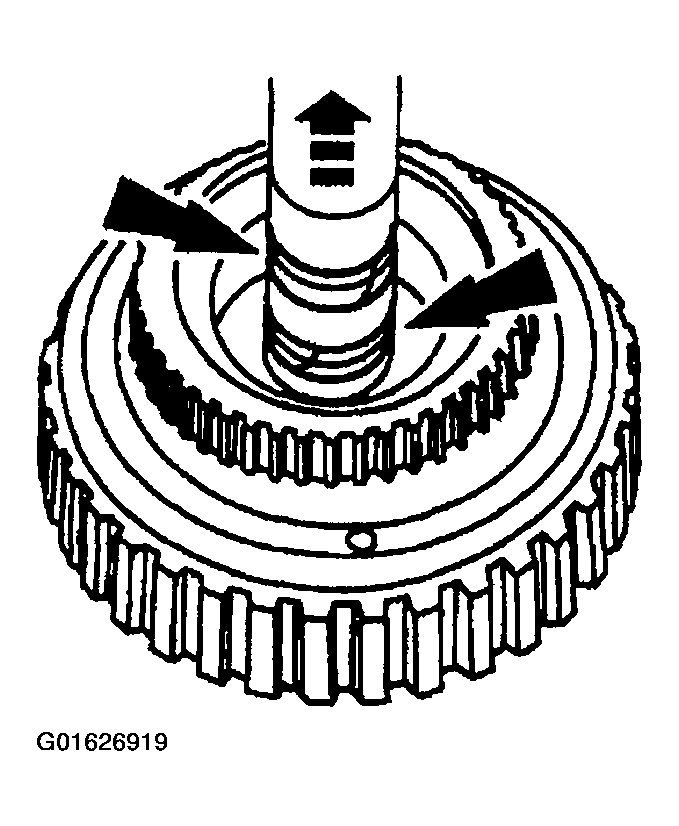G01626919