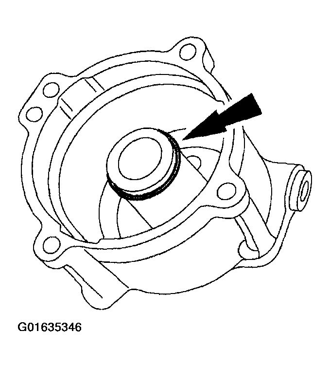 G01635346