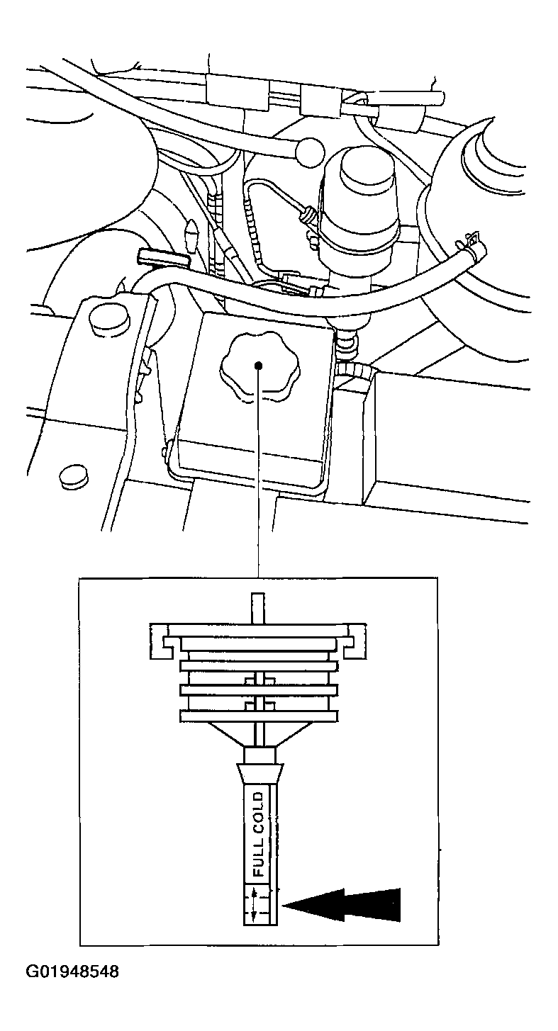 G01948548