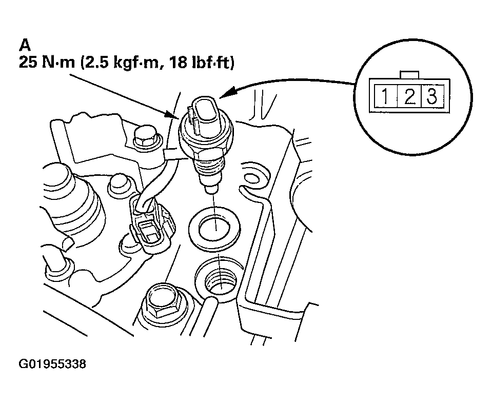 G01955338