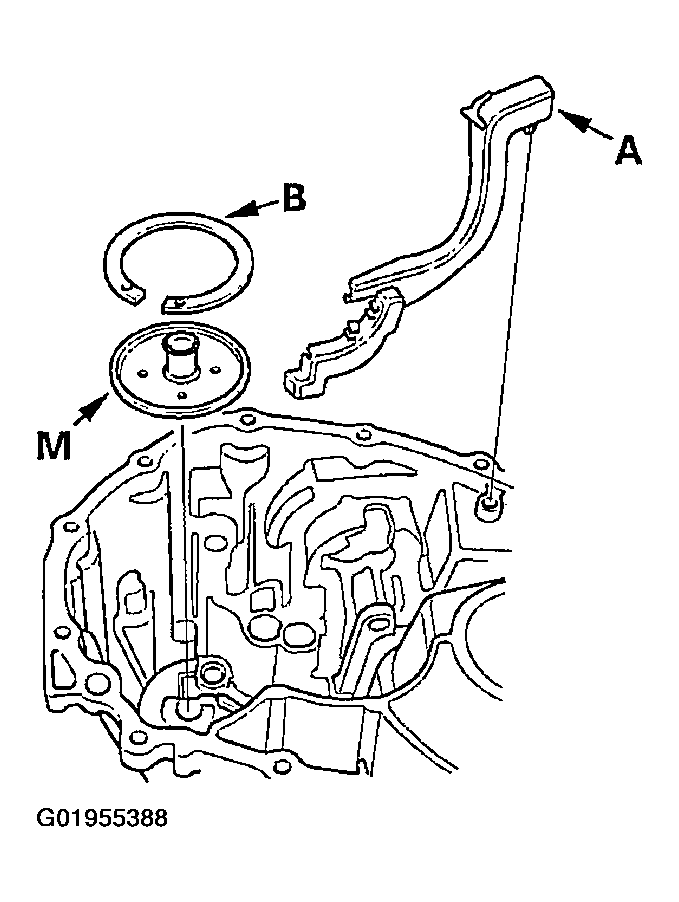 G01955388