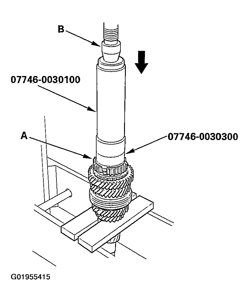 G01955415