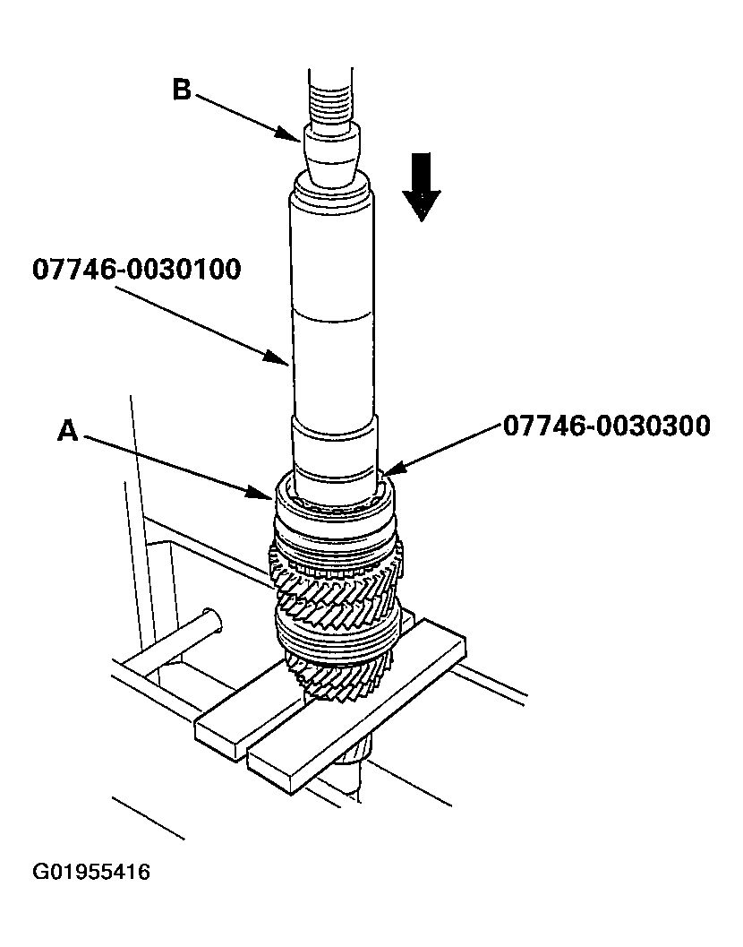 G01955416