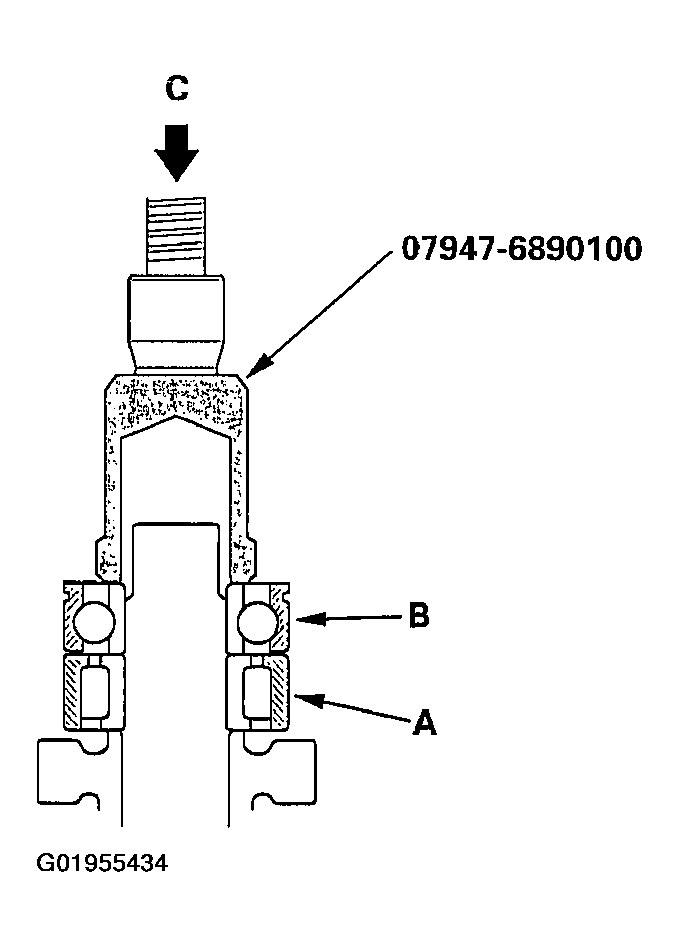 G01955434