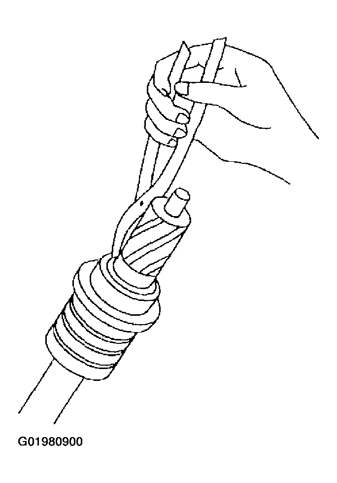 G01980900